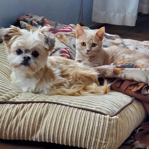 Meet your Posher, Helen